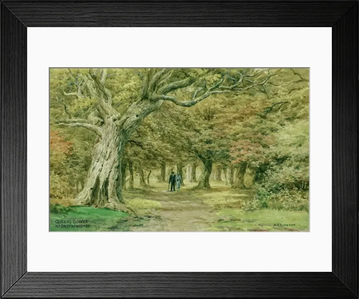 Framed Print : Queen's Bower, near Brockenhurst, New Forest, Hampshire Framed Print : Queen's Bower, near Brockenhurst, New Forest, Hampshire