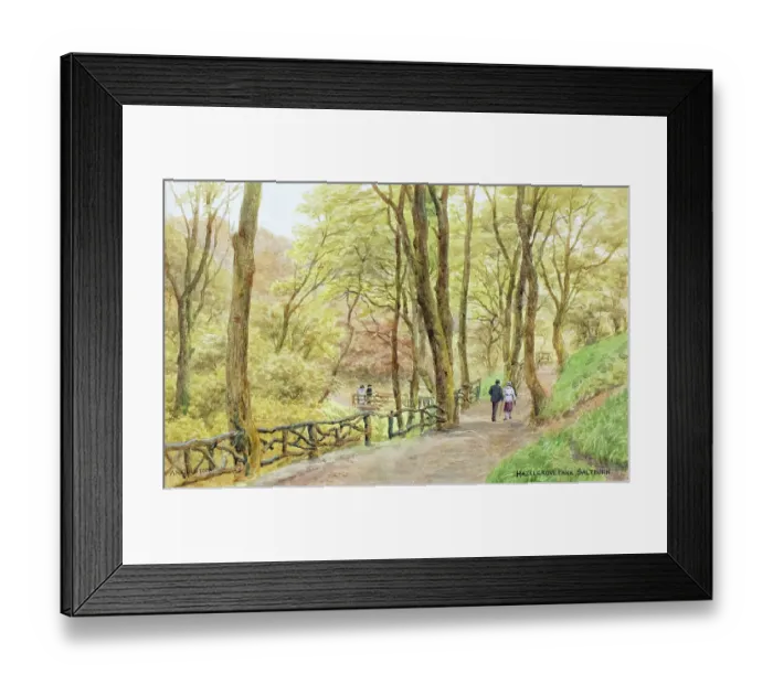 Framed Print : Hazelgrove Park, Saltburn-by-the-Sea, North Yorkshire Framed Print : Hazelgrove Park, Saltburn-by-the-Sea, North Yorkshire