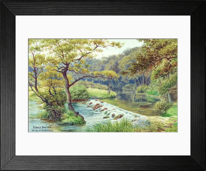 Framed Print : Forge Valley, near Scarborough, North Yorkshire Framed Print : Forge Valley, near Scarborough, North Yorkshire