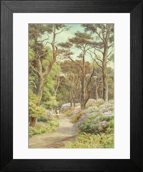 Framed Print : Sheringham Woods, Sheringham, Norfolk Framed Print : Sheringham Woods, Sheringham, Norfolk