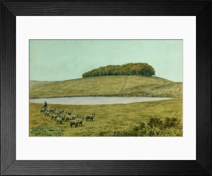 Framed Print : Chanctonbury Ring, South Downs, Sussex Framed Print : Chanctonbury Ring, South Downs, Sussex