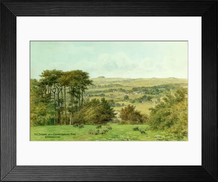 Framed Print : Chanctonbury Ring, near Worthing, South Downs, Sussex Framed Print : Chanctonbury Ring, near Worthing, South Downs, Sussex