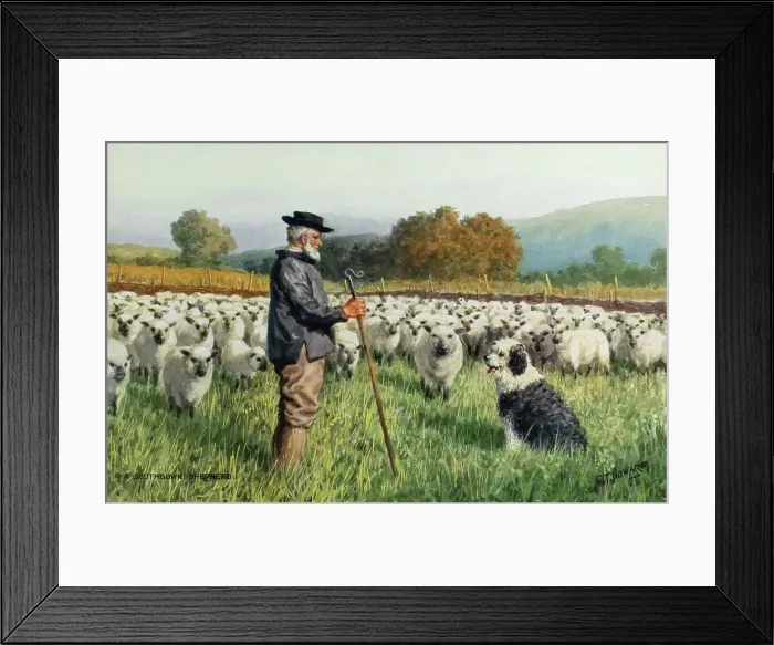 Framed Print : South Downs Shepherd, Sussex