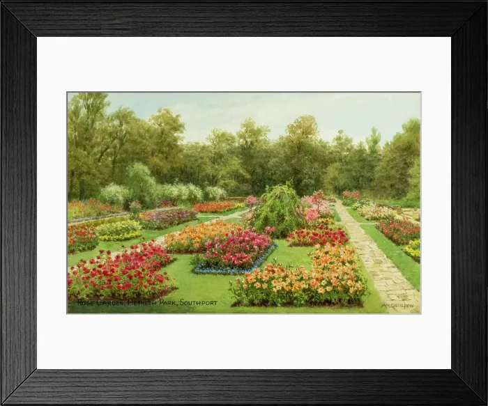 Framed Print : Rose Garden, Hesketh Park, Southport, Lancashire Framed Print : Rose Garden, Hesketh Park, Southport, Lancashire