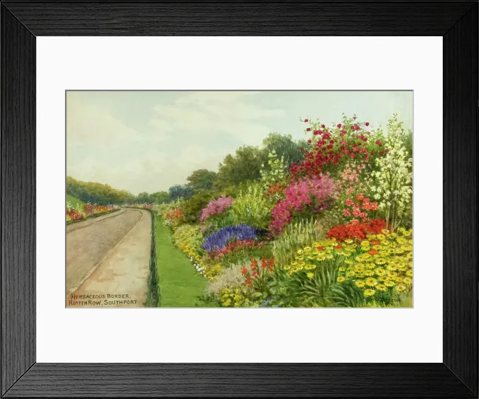 Framed Print : Herbaceous border, Rotten Row, Southport, Lancashire Framed Print : Herbaceous border, Rotten Row, Southport, Lancashire