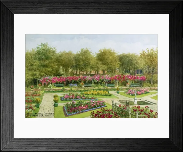 Framed Print : Ashton Rose Gardens, St Annes on Sea, Lancashire Framed Print : Ashton Rose Gardens, St Annes on Sea, Lancashire