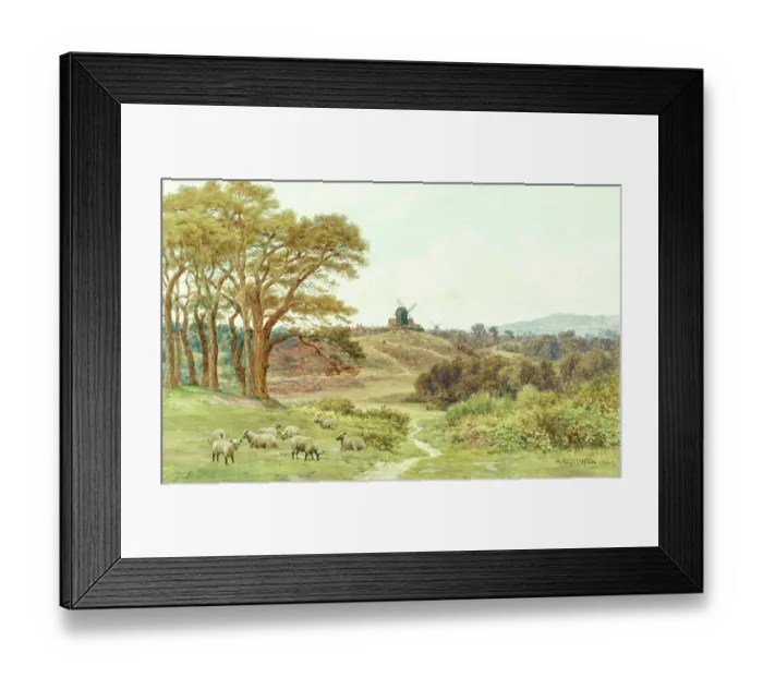 Framed Print : Reigate Heath, Surrey Hills Framed Print : Reigate Heath, Surrey Hills