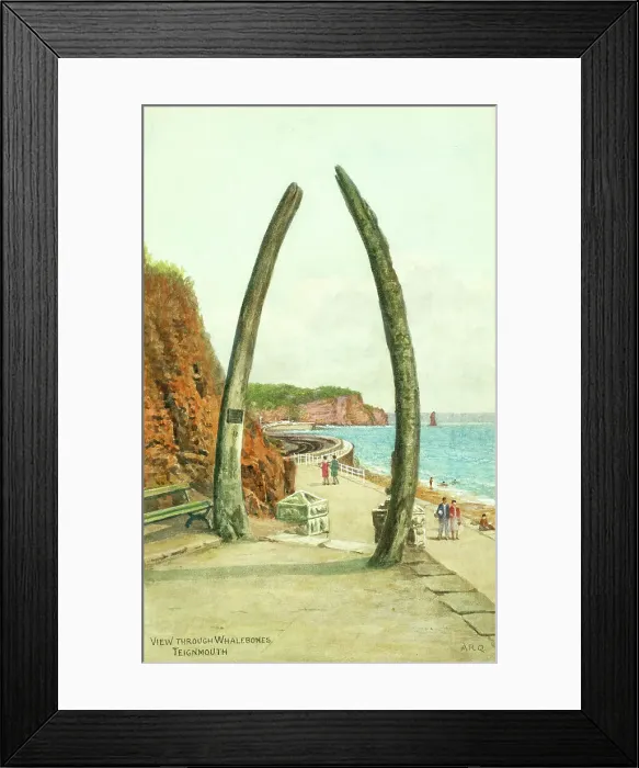 Framed Print : Whalebones at Teignmouth, Devon Framed Print : Whalebones at Teignmouth, Devon