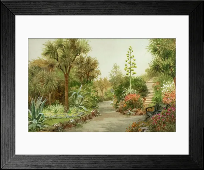 Framed Print : Rock Walk, Torquay, South Devon Framed Print : Rock Walk, Torquay, South Devon