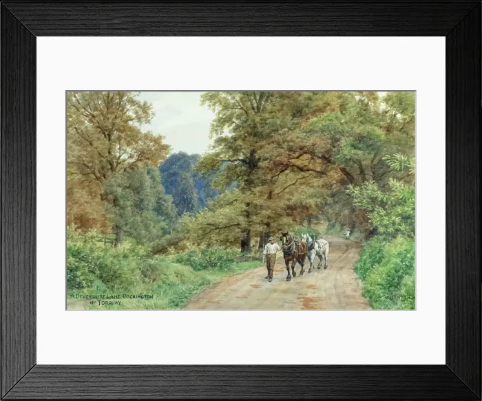Framed Print : Lane at Cockington, near Torquay, South Devon Framed Print : Lane at Cockington, near Torquay, South Devon