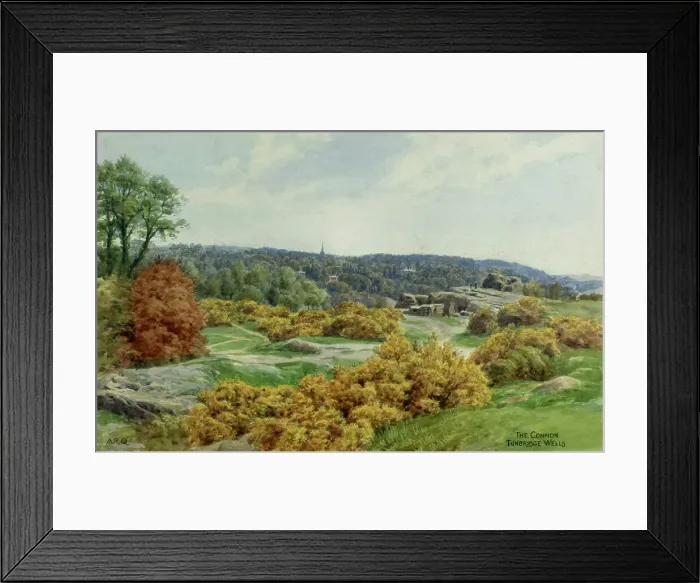 Framed Print : The Common, Tunbridge Wells, Kent Framed Print : The Common, Tunbridge Wells, Kent