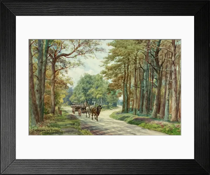Framed Print : Broadwater Forest, Tunbridge Wells, Kent Framed Print : Broadwater Forest, Tunbridge Wells, Kent
