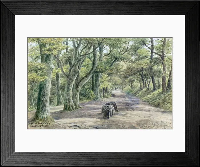 Framed Print : Kewstoke Woods, Weston-super-Mare, Somerset Framed Print : Kewstoke Woods, Weston-super-Mare, Somerset