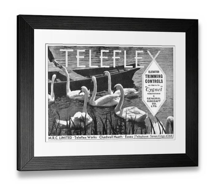 Framed Print : 13867339 Framed Print : 13867339