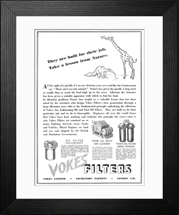 Framed Print : 13868084 Framed Print : 13868084