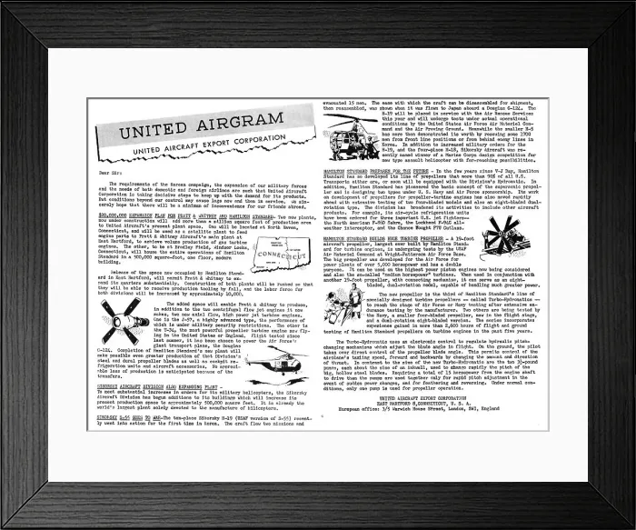 Framed Print : 13868519