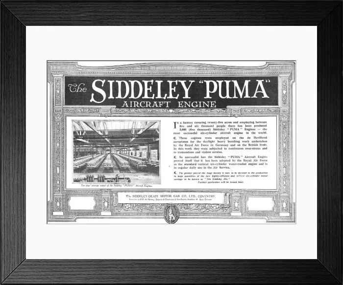 Framed Print : 13869003