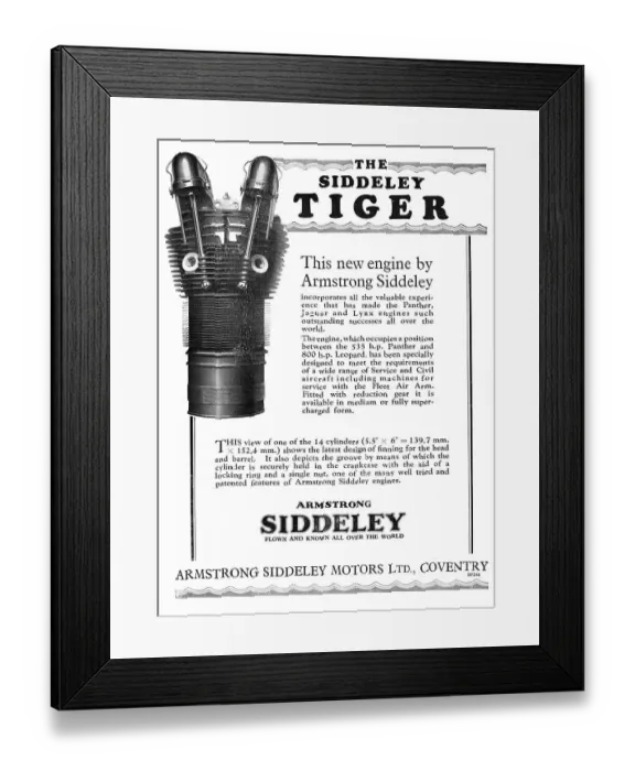 Framed Print : 13869144 Framed Print : 13869144