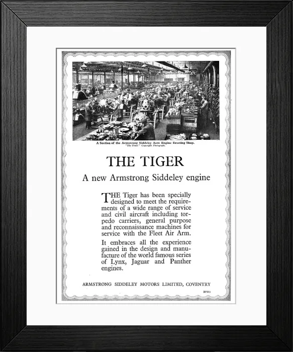 Framed Print : 13869157 Framed Print : 13869157