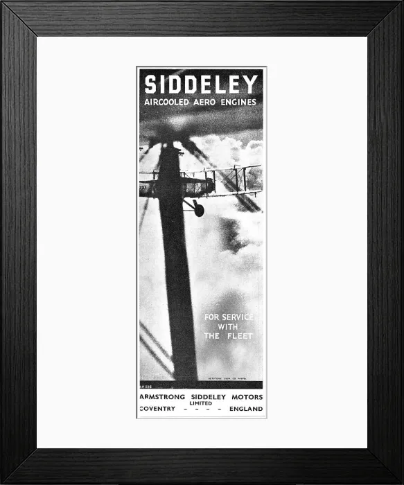 Framed Print : 13869170 Framed Print : 13869170