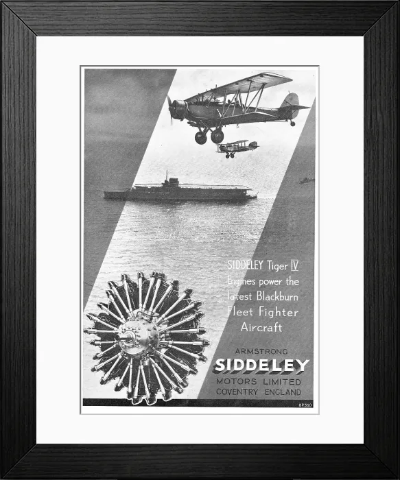 Framed Print : 13869182 Framed Print : 13869182