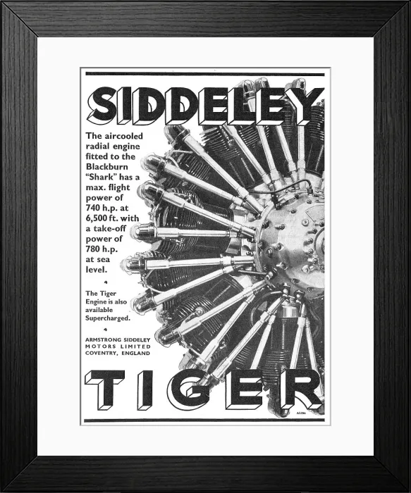 Framed Print : 13869189 Framed Print : 13869189