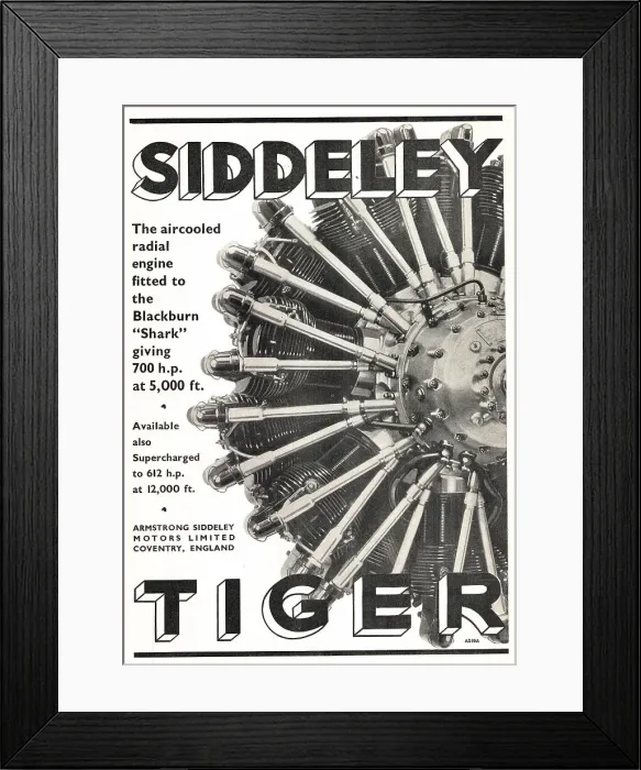 Framed Print : 13869194 Framed Print : 13869194