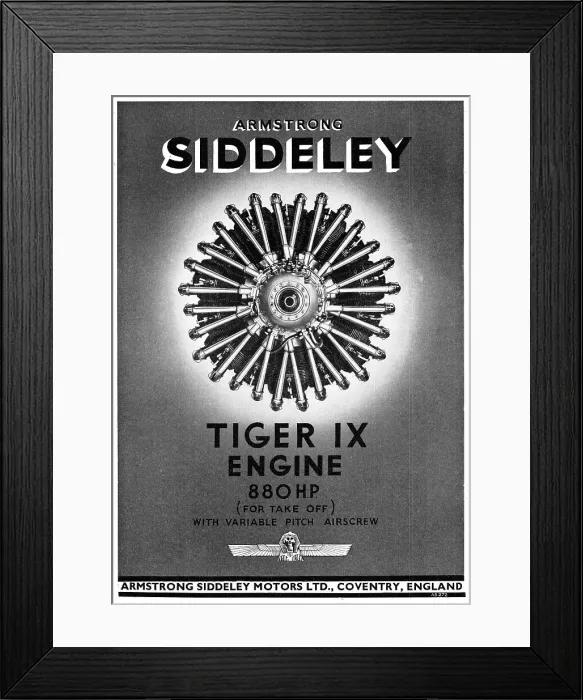 Framed Print : 13869234 Framed Print : 13869234