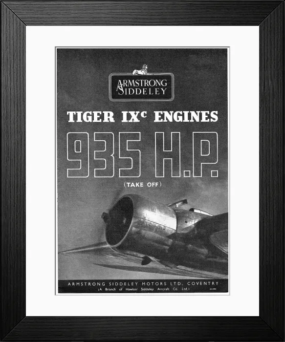 Framed Print : 13869255 Framed Print : 13869255