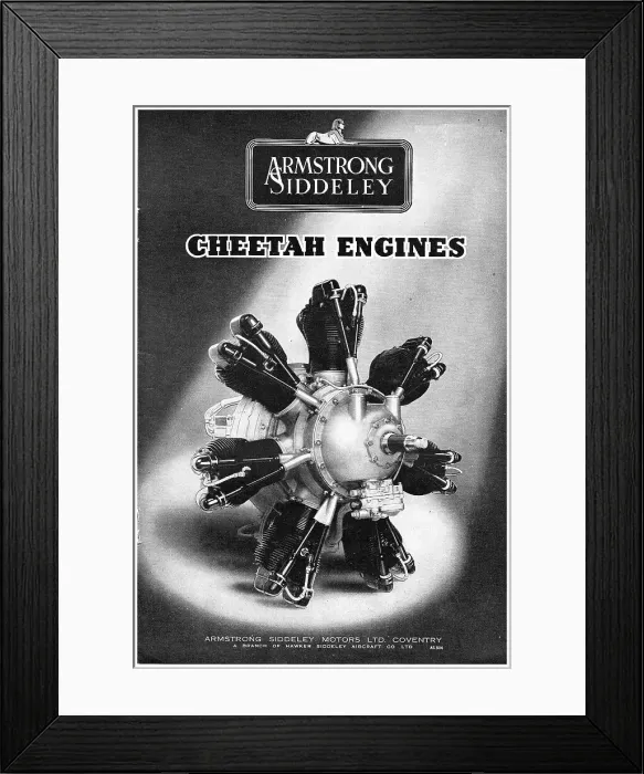 Framed Print : 13869266 Framed Print : 13869266