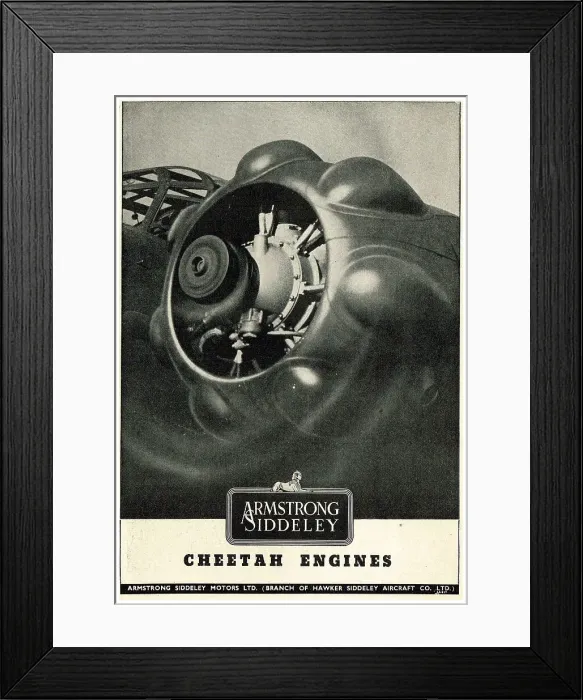 Framed Print : 13869286 Framed Print : 13869286