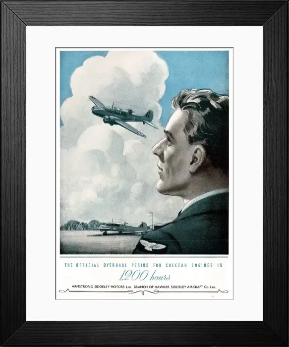 Framed Print : 13869296 Framed Print : 13869296