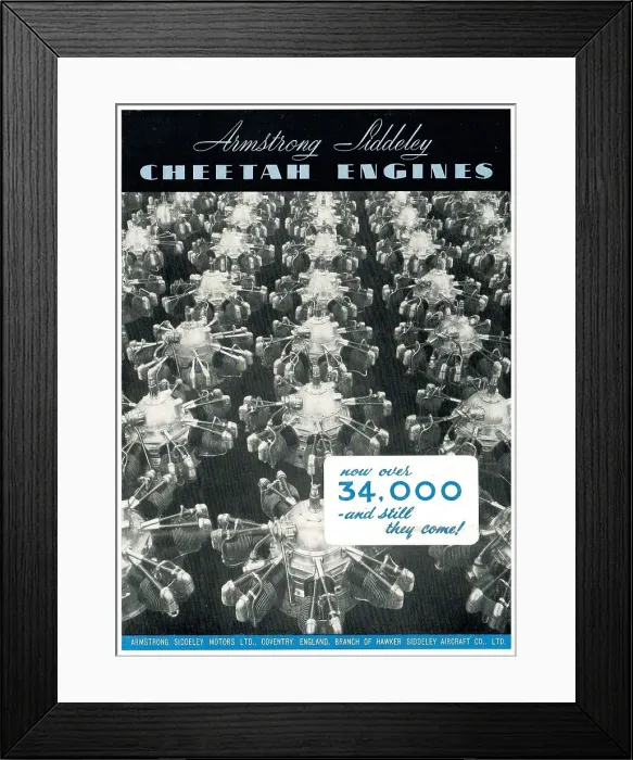Framed Print : 13869299 Framed Print : 13869299