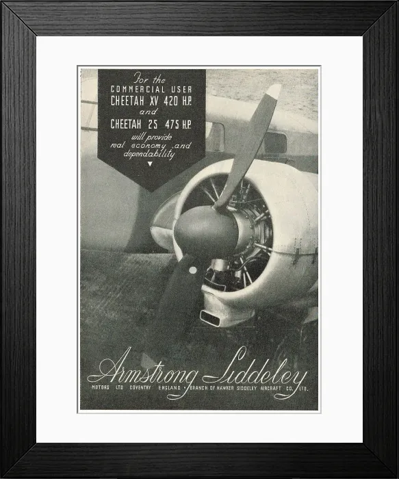 Framed Print : 13869306 Framed Print : 13869306