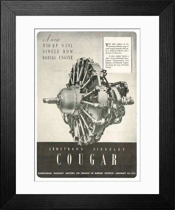 Framed Print : 13869311 Framed Print : 13869311