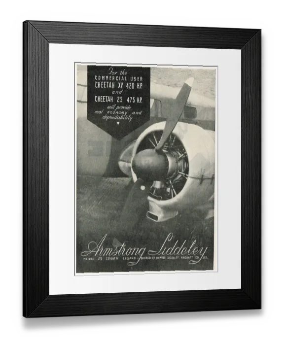 Framed Print : 13869312 Framed Print : 13869312