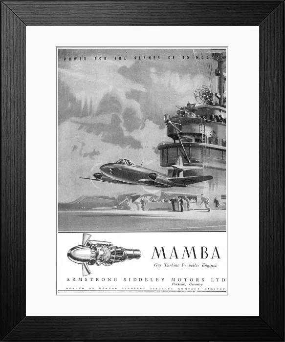 Framed Print : 13869320 Framed Print : 13869320