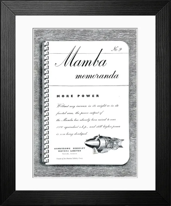 Framed Print : 13869355 Framed Print : 13869355