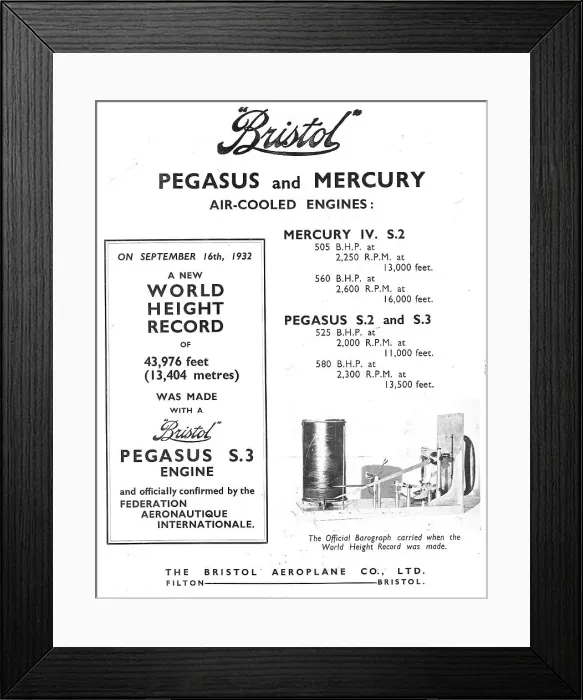 Framed Print : 13869954 Framed Print : 13869954