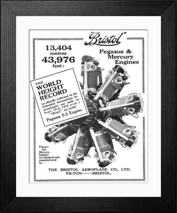 Framed Print : 13869980 Framed Print : 13869980