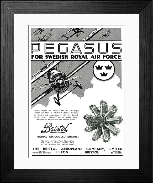 Framed Print : 13869996 Framed Print : 13869996