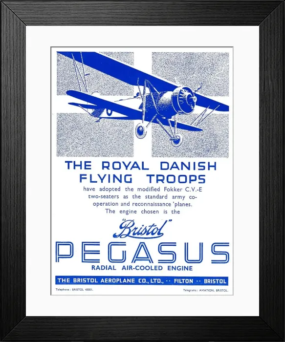 Framed Print : 13870013