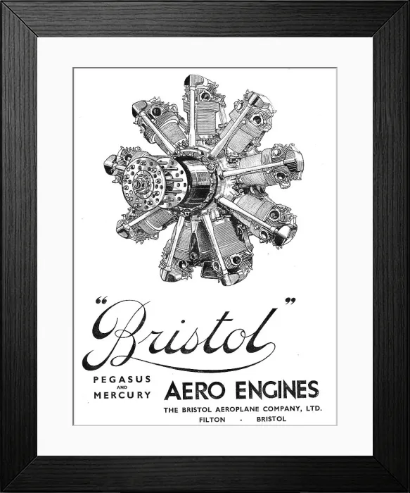 Framed Print : 13870028