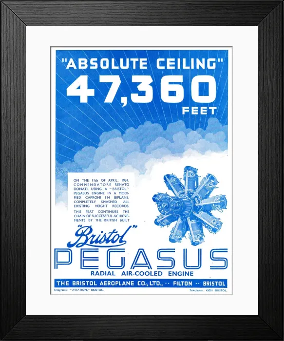 Framed Print : 13870040 Framed Print : 13870040