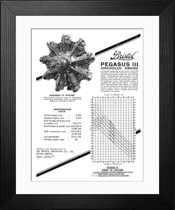 Framed Print : 13870073