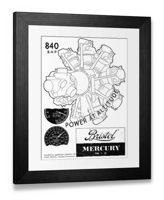 Framed Print : 13870090 Framed Print : 13870090