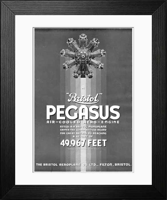 Framed Print : 13870112 Framed Print : 13870112