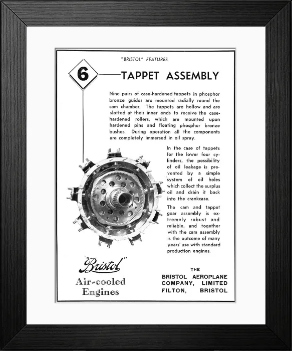 Framed Print : 13870148 Framed Print : 13870148