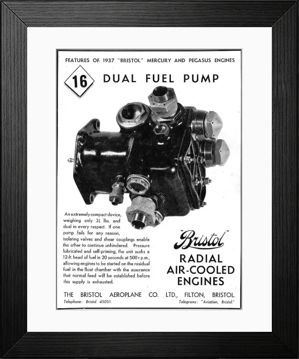Framed Print : 13870158 Framed Print : 13870158