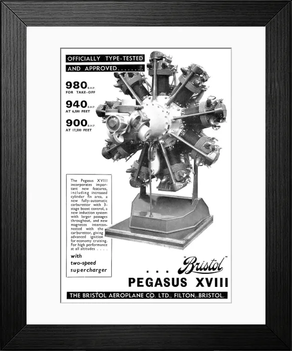 Framed Print : 13870246 Framed Print : 13870246